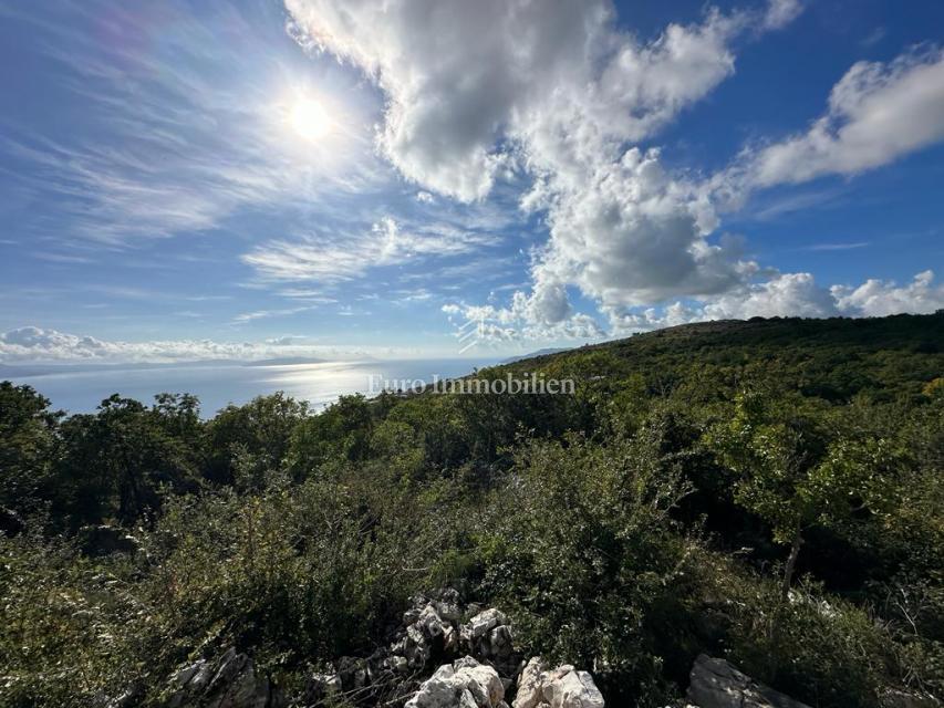 Albona - terreno agricolo con vista mare