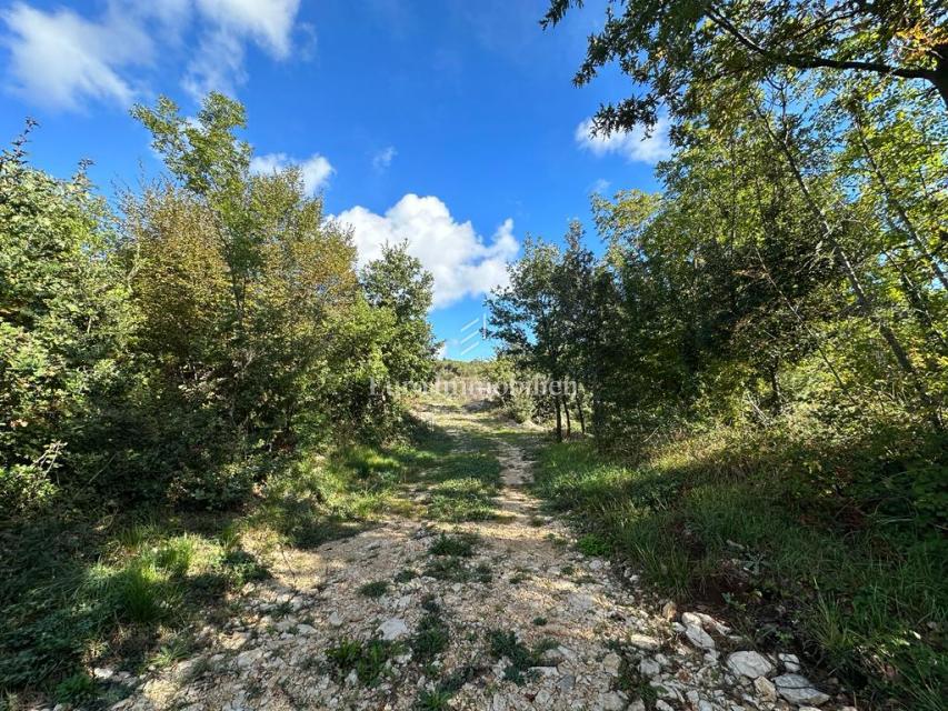 Albona - terreno agricolo con vista mare