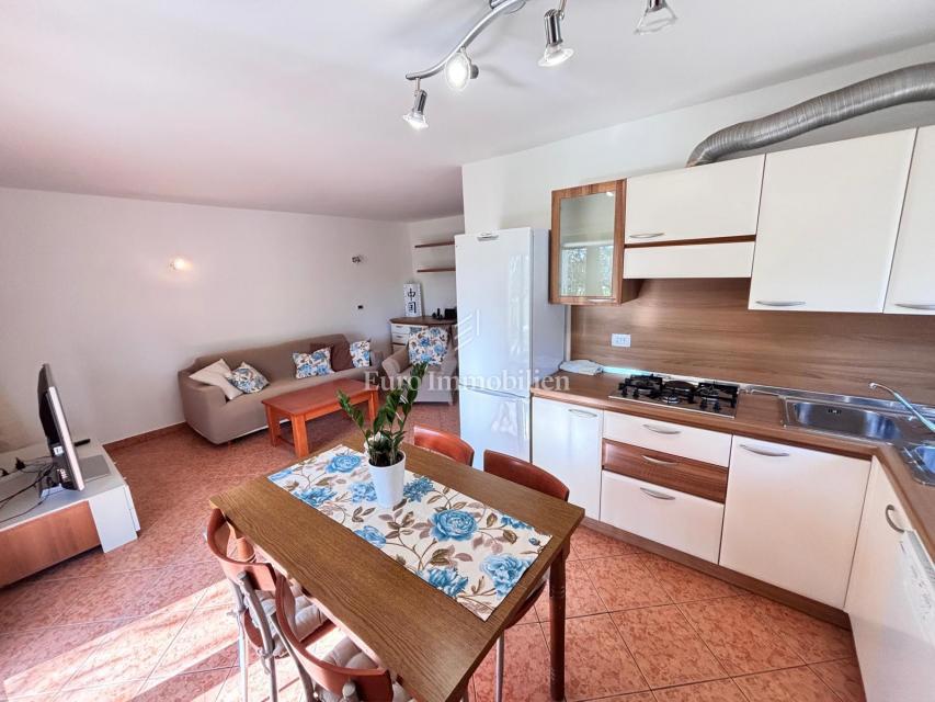 Novigrad - appartamento con giardino a 500 metri dal mare