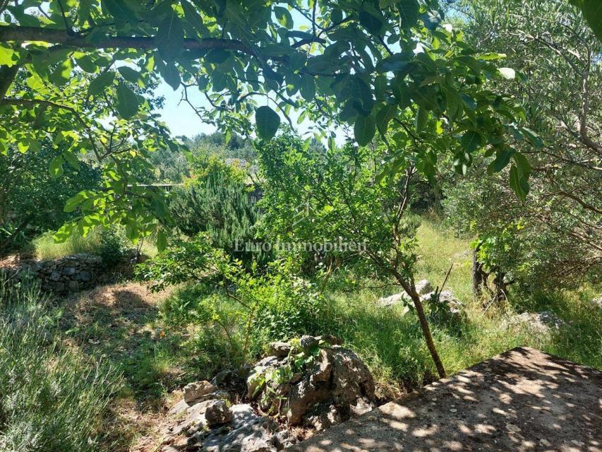 Jezera - isola di Murter, casa immersa nel verde