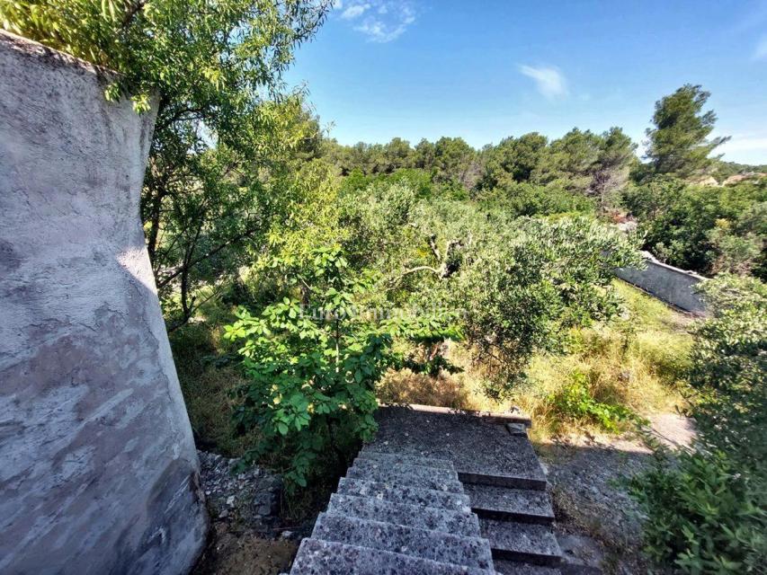 Jezera - isola di Murter, casa immersa nel verde