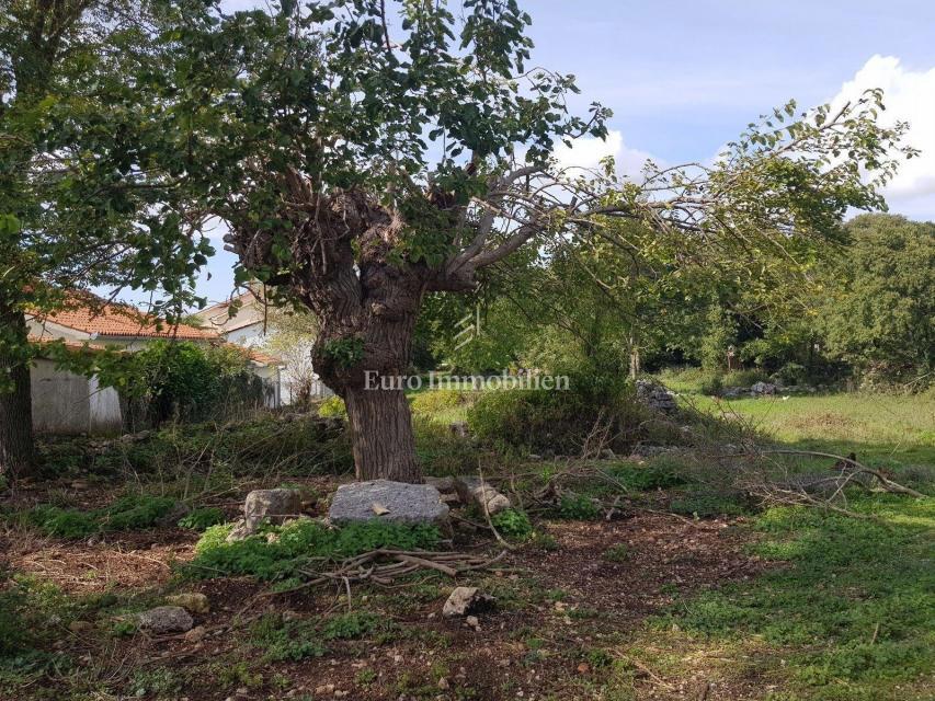 Terreno edificabile in posizione tranquilla