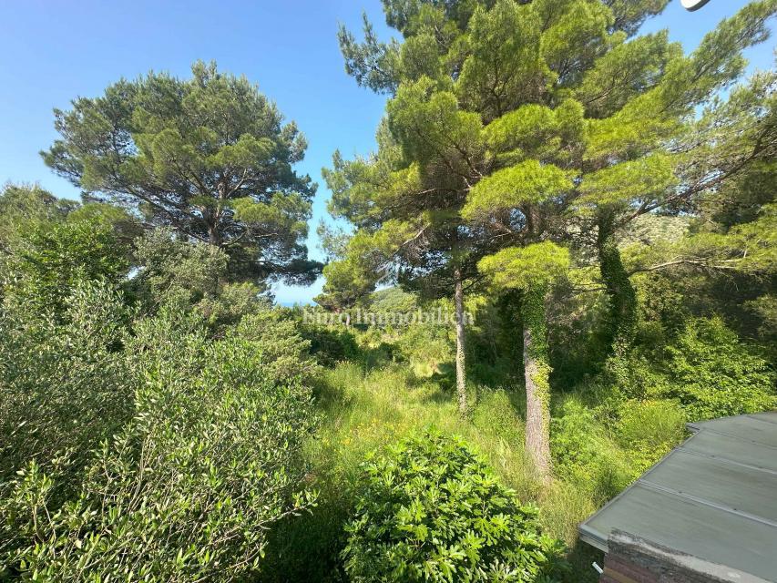 Riviera di Makarska - Casa con vista mare, posizione tranquilla