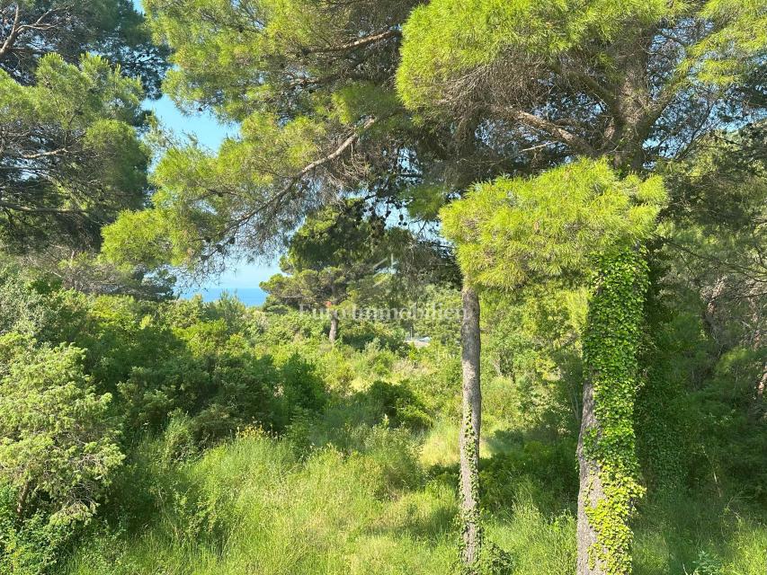 Riviera di Makarska - Casa con vista mare, posizione tranquilla