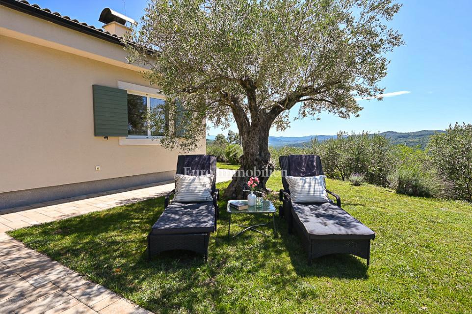 Istria, Grisignana, Villa di lusso con piscina