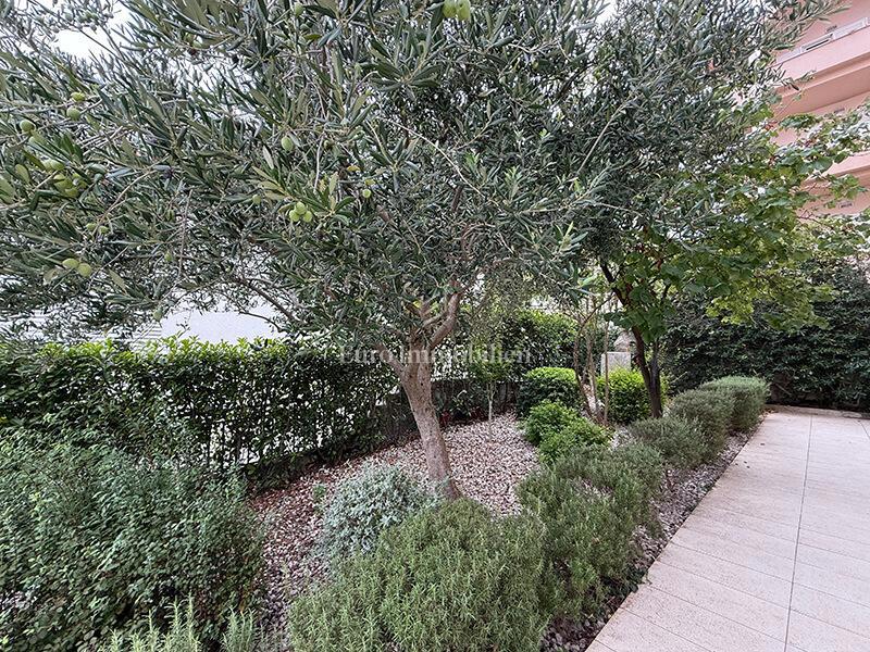 Due appartamenti in prima fila al mare a Baška Voda