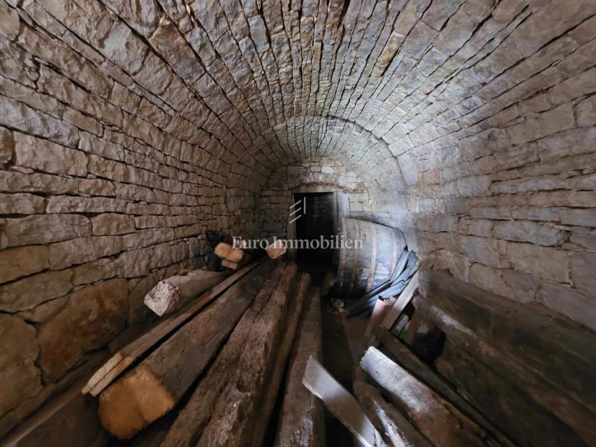 Autentica casa in pietra istriana con giardino - Visignano
