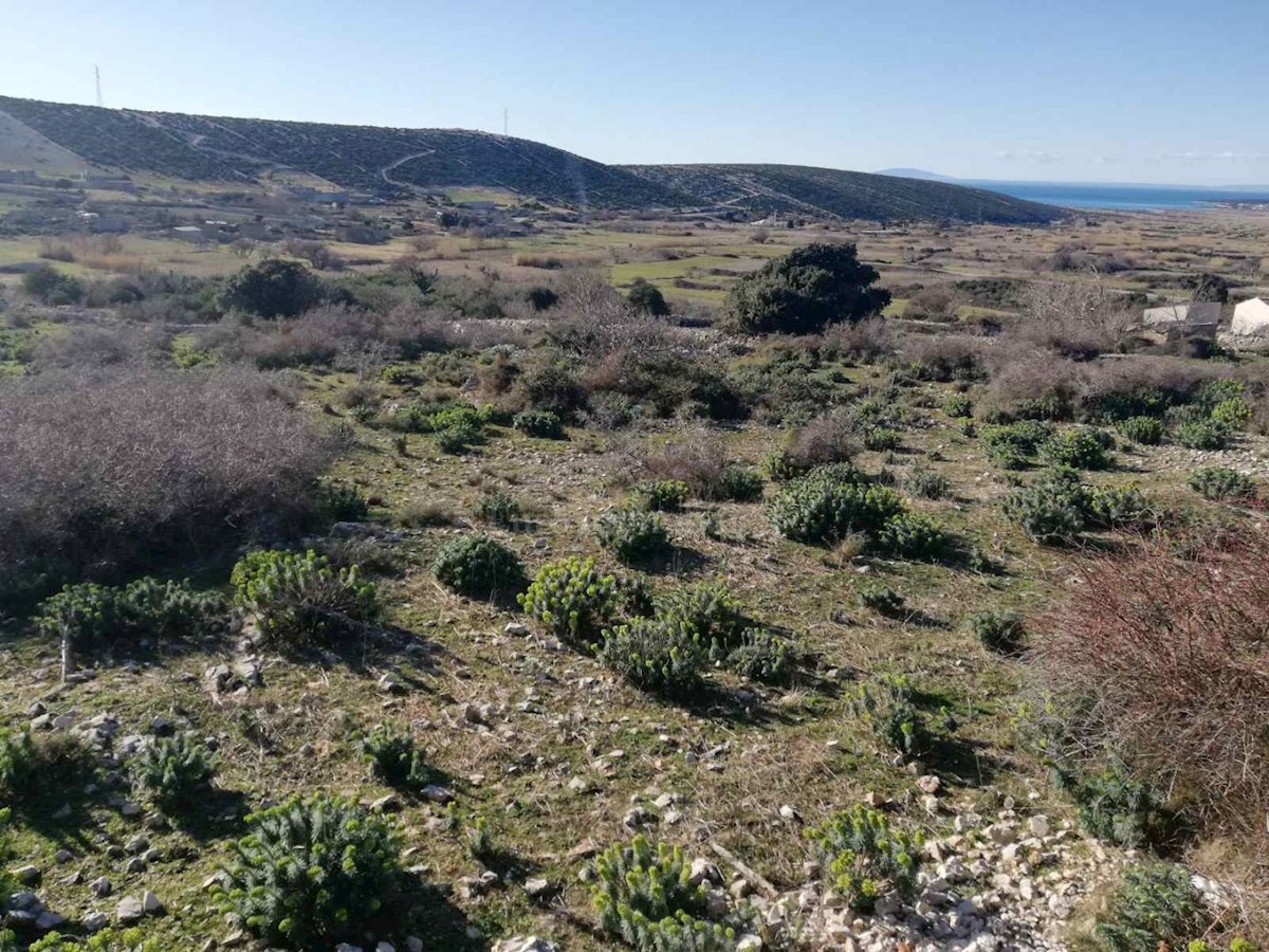 Pag, Kolan, terreno edificabile