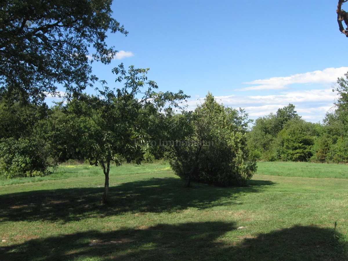 House with a swimming pool and a large garden in a quiet location