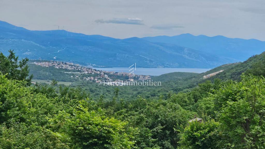 Casa con 4000 mq di terreno