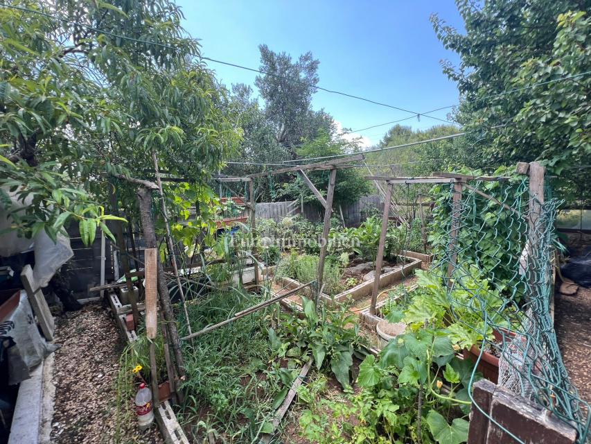 Pasman - casa con tre appartamenti