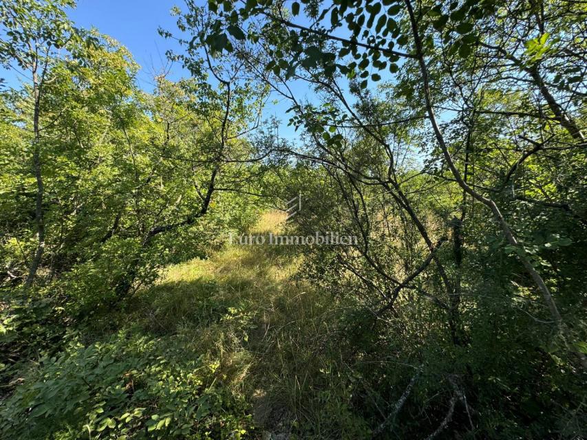 Terreno edificabile vicino a Albona, 3491 m2