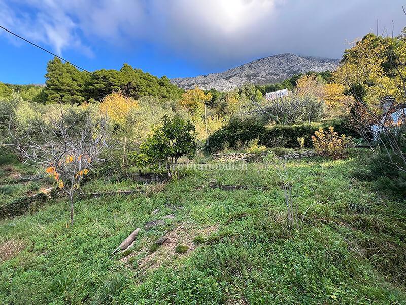 Brela - casa con vista mare