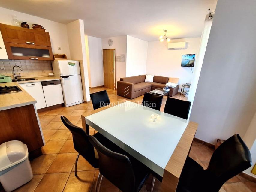 Appartamento al piano terra con 200 m2 di giardino!