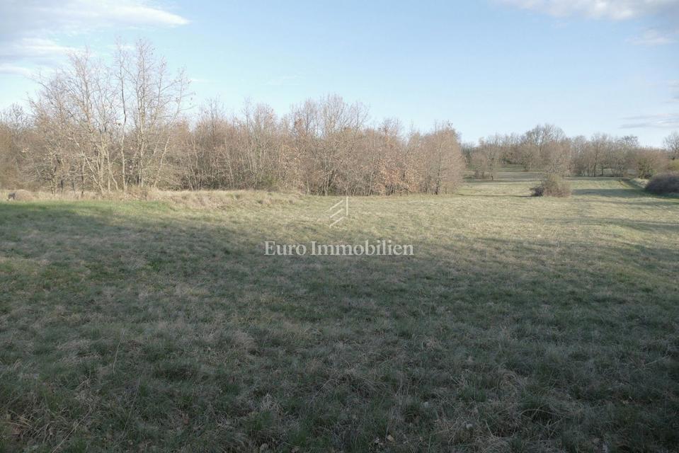 Istria - terra attraente con design concettuale