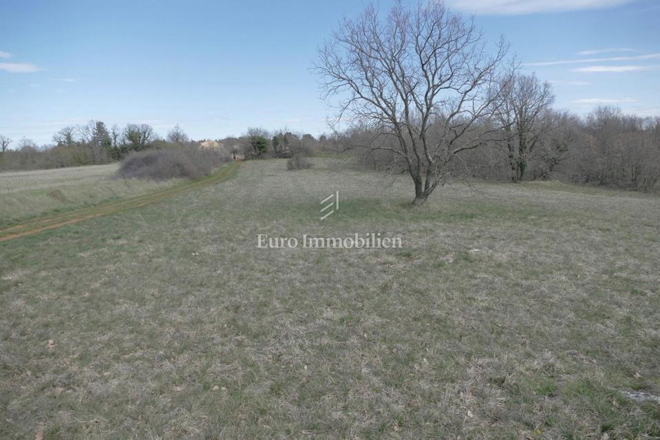 Istria - terra attraente con design concettuale