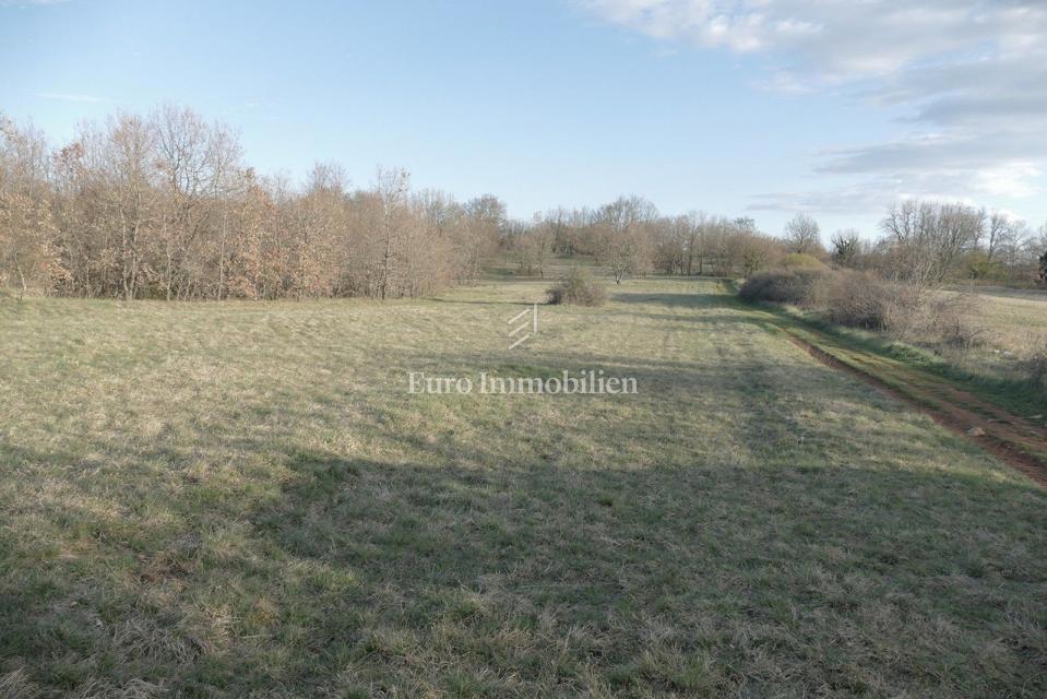 Istria - terra attraente con design concettuale