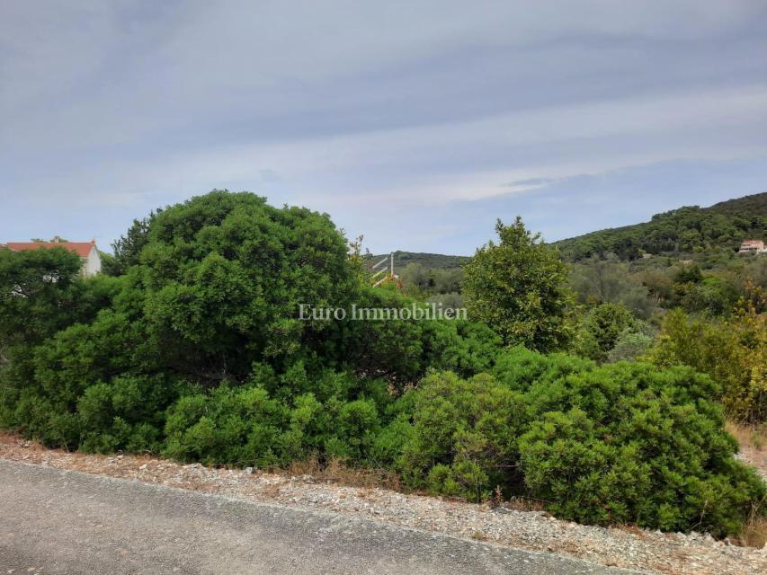 Dugi otok - bel terreno a 70 m dal mare