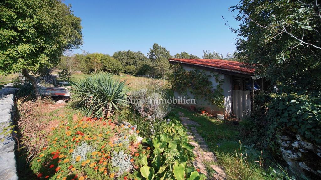 Casa in pietra con giardino - dintorni di Gimino