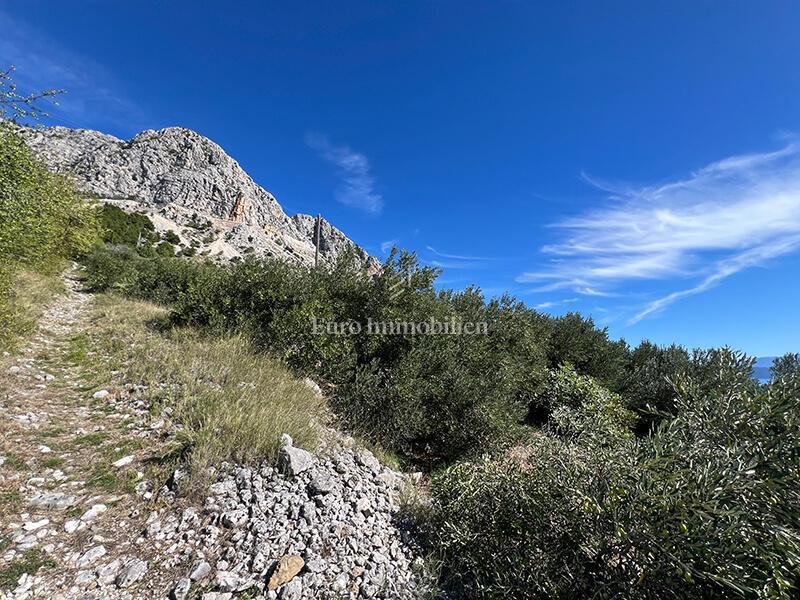 Terreno edificabile con vista mare