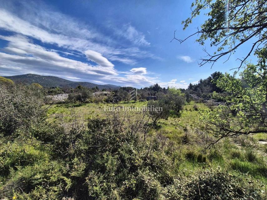 Terreno edificabile in posizione tranquilla