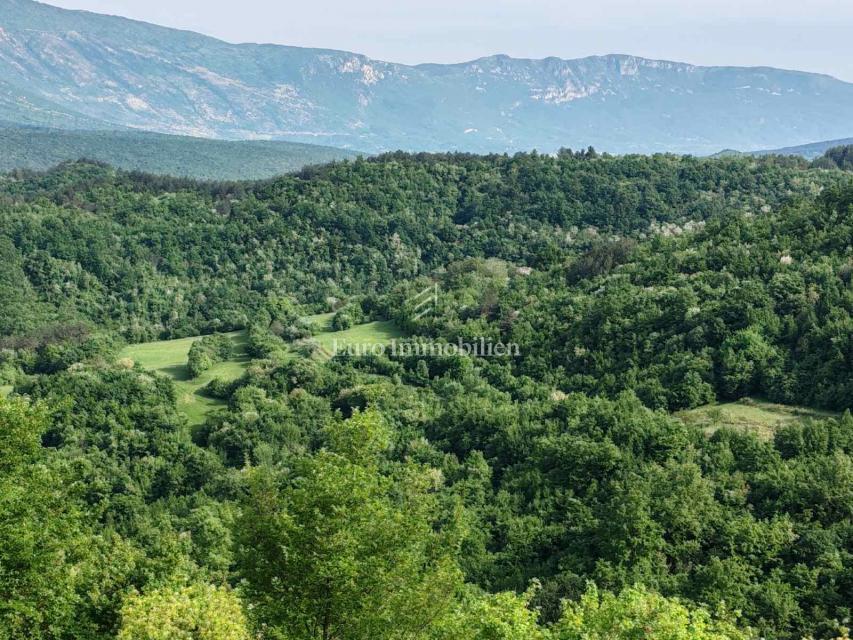 Cerovlje - villaggio istriano con edifici in pietra