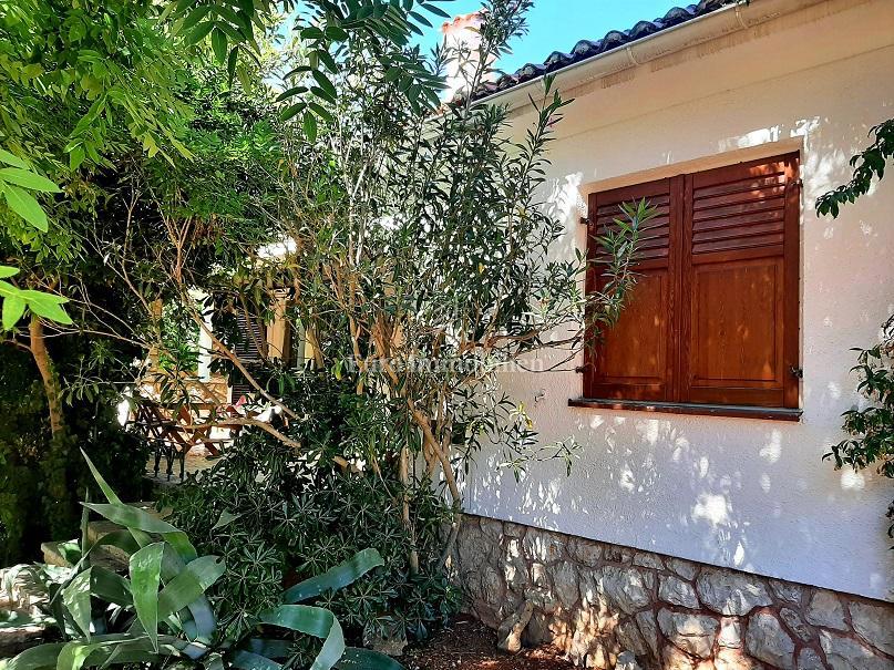 Novalja - 2 case con un grande giardino nel centro di Novalja