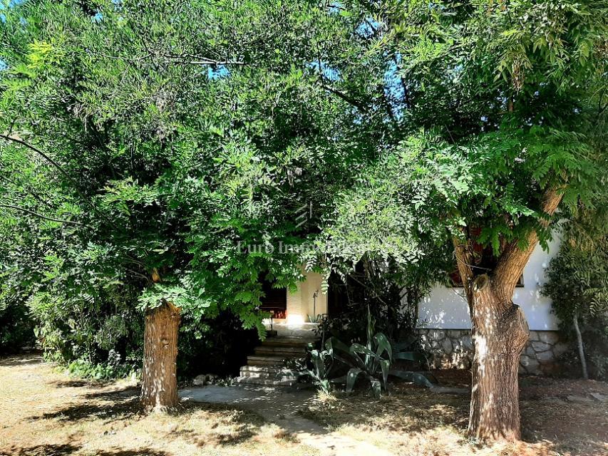 Novalja - 2 case con un grande giardino nel centro di Novalja