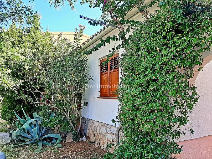 Novalja - 2 case con un grande giardino nel centro di Novalja