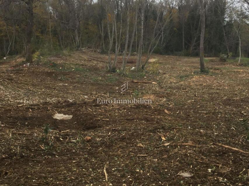 Istria, Kršan, building plot 2,700m2