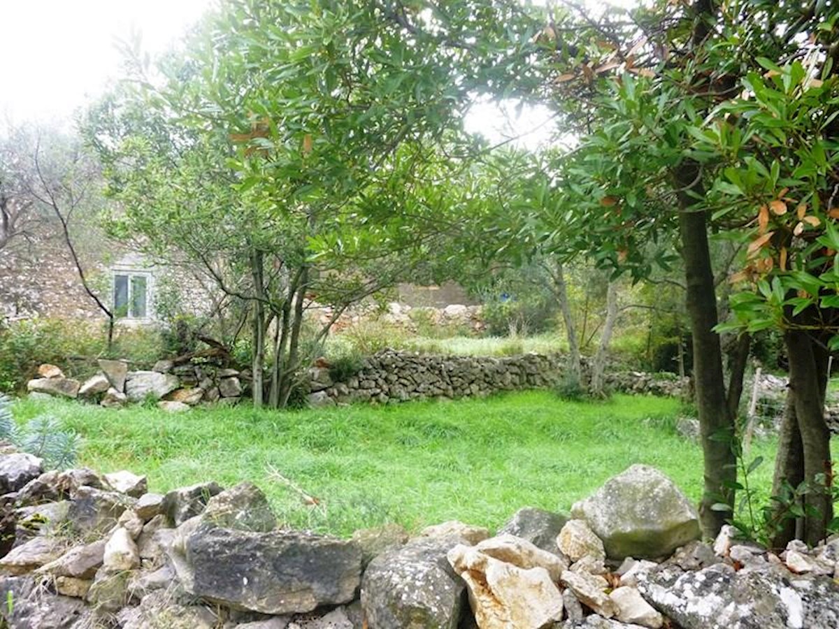 Semi-detached stone house, partially renovated