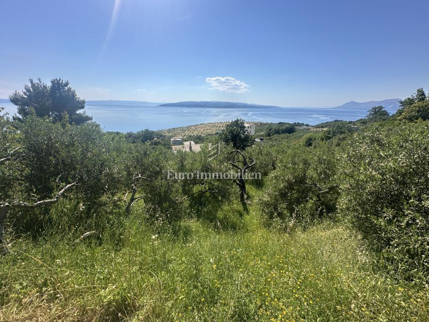 Makarska - terreno edificabile con una bellissima vista