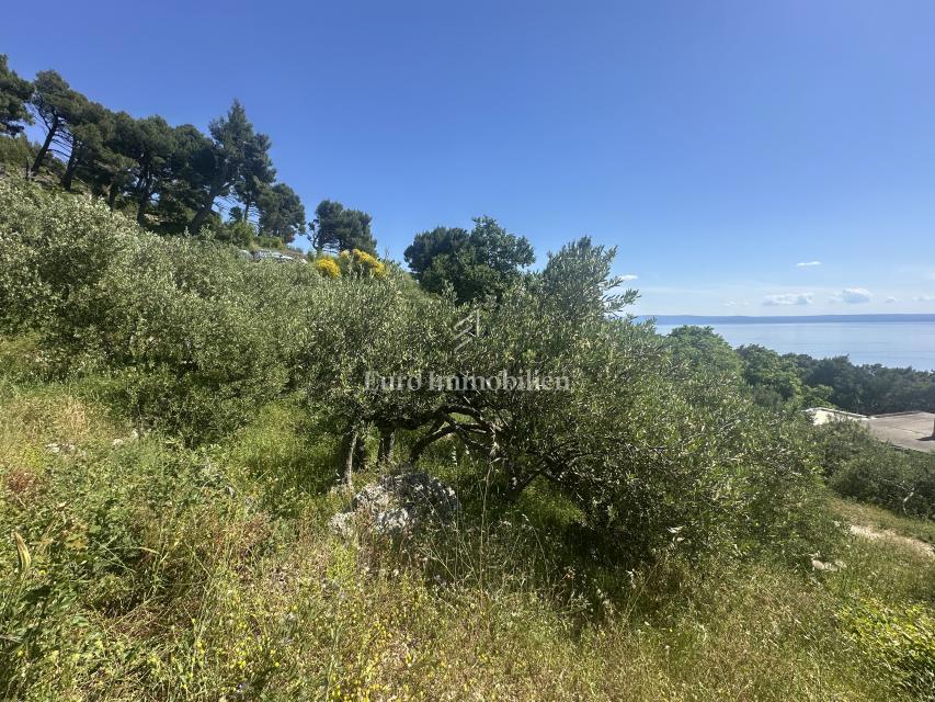 Makarska - terreno edificabile con una bellissima vista