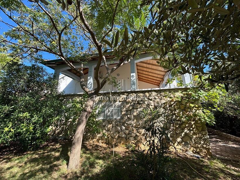 Isola di Pag – Casa con bel giardino, prima fila al mare