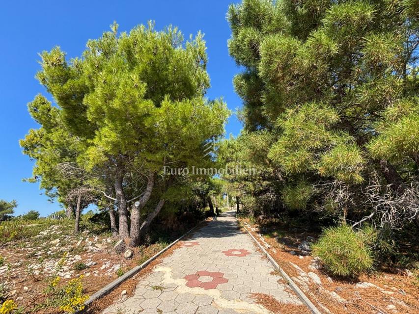 Isola di Pag – Casa con bel giardino, prima fila al mare