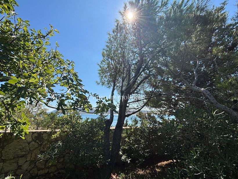 Isola di Pag – Casa con bel giardino, prima fila al mare