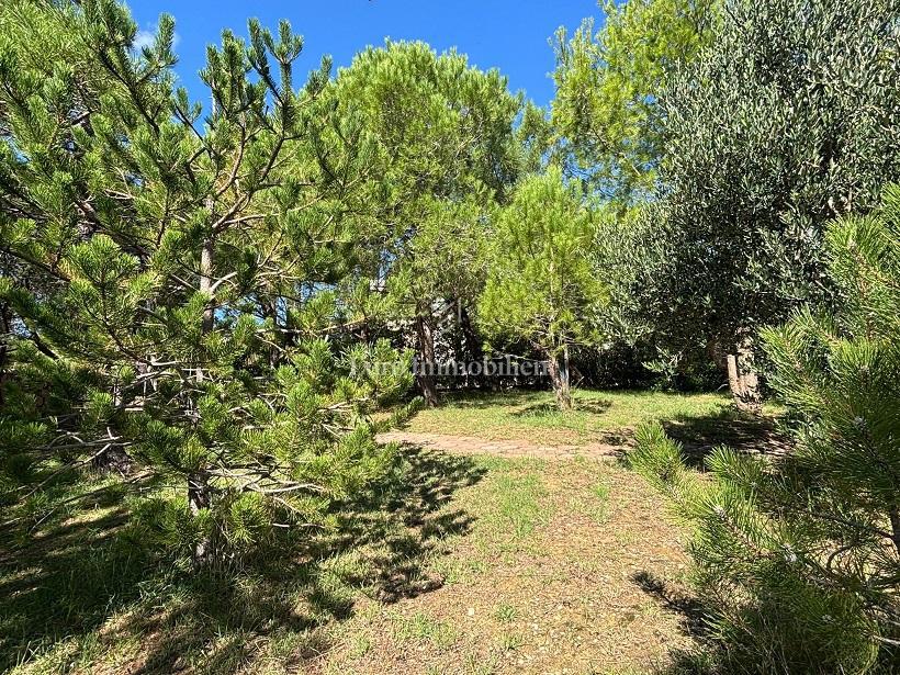 Isola di Pag – Casa con bel giardino, prima fila al mare