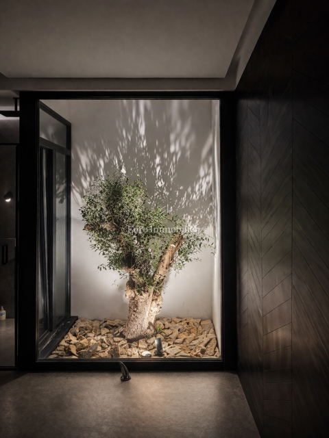 Istria, Labin - moderna casa a un piano con giardino