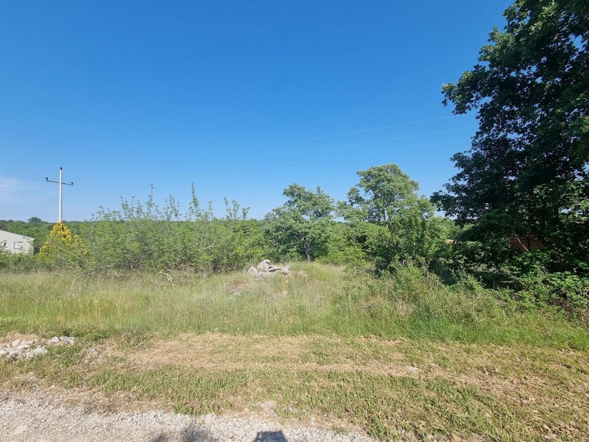 Land on the edge of the construction zone with a view of nature