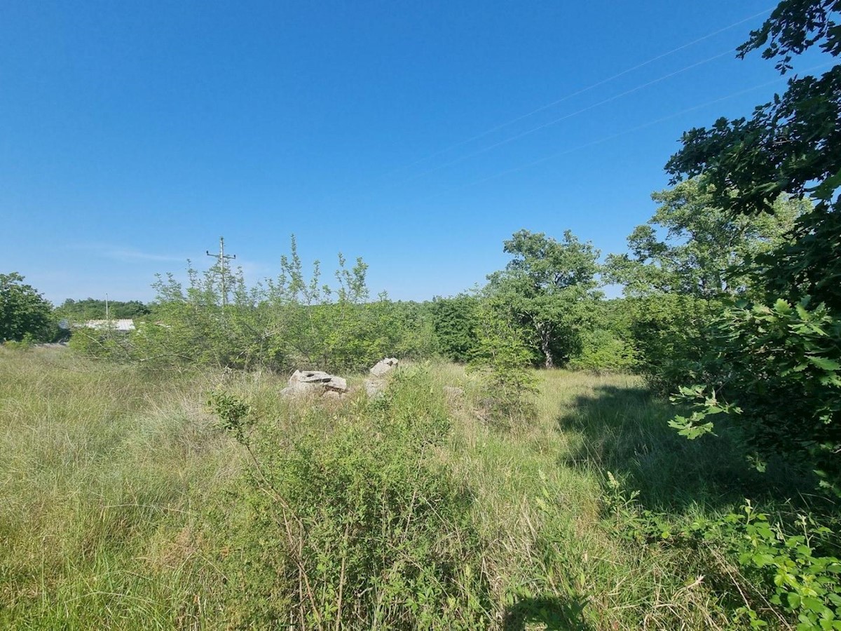 Land on the edge of the construction zone with a view of nature