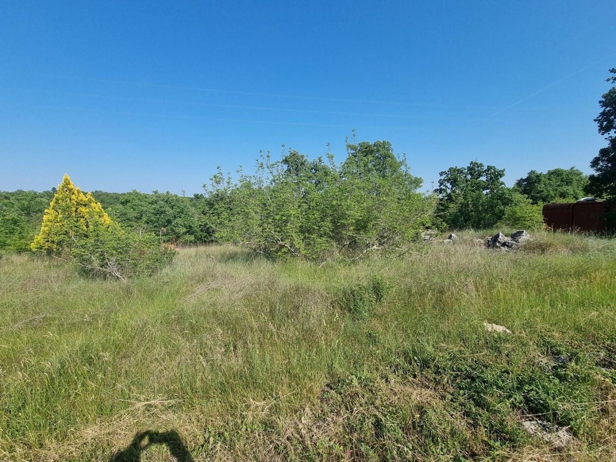 Land on the edge of the construction zone with a view of nature