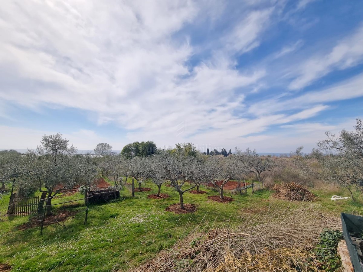 Stone villa with sea view in Umag