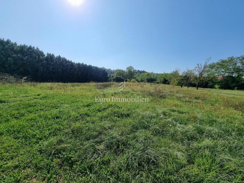 Terreno edificabile con progetto concettuale - Labin