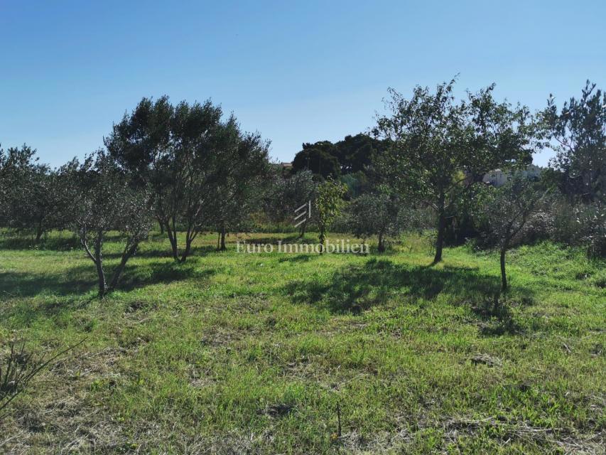 Terreno edificabile a 250 m dal mare, Dobropoljana - isola di Pašman