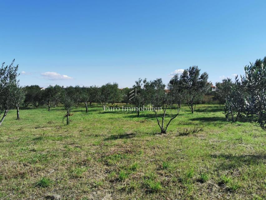 Terreno edificabile a 250 m dal mare, Dobropoljana - isola di Pašman