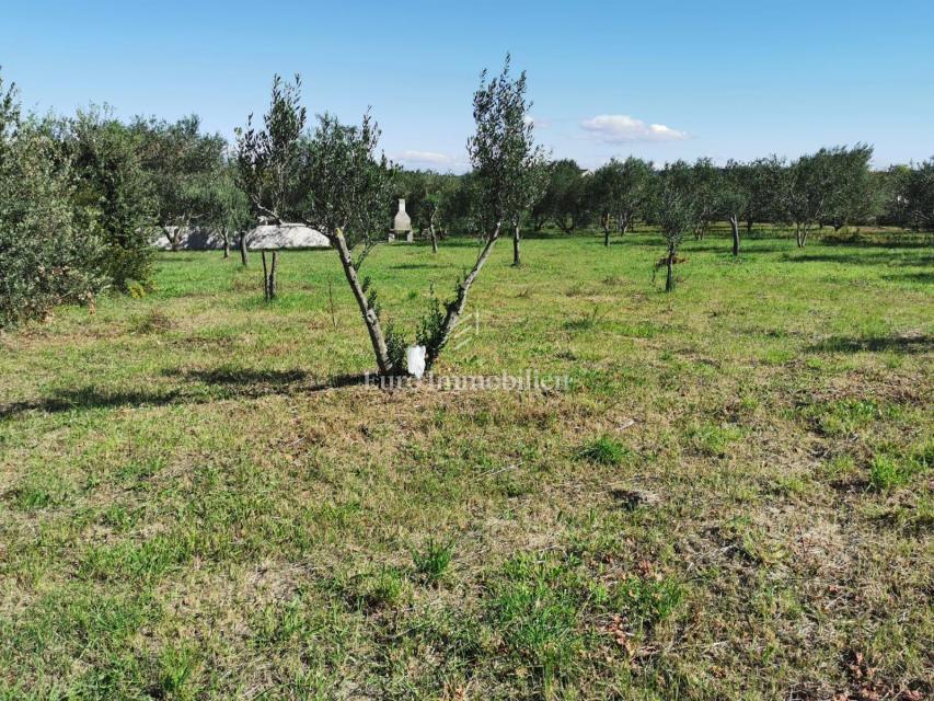 Terreno edificabile a 250 m dal mare, Dobropoljana - isola di Pašman