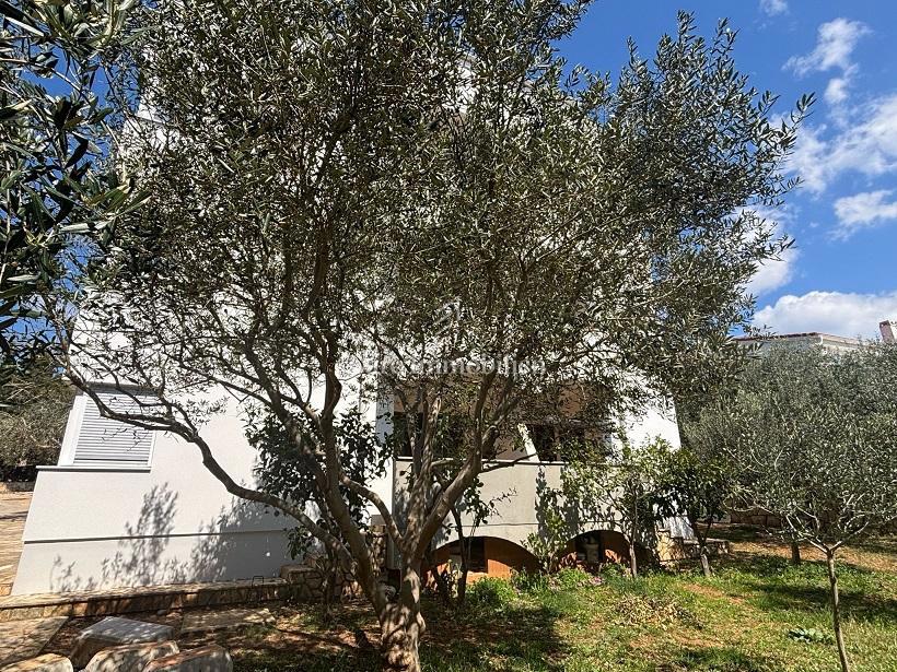 Novalja - casa con 10 appartamenti