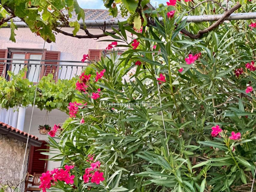 Novi Vinodolski - casa vicino al centro