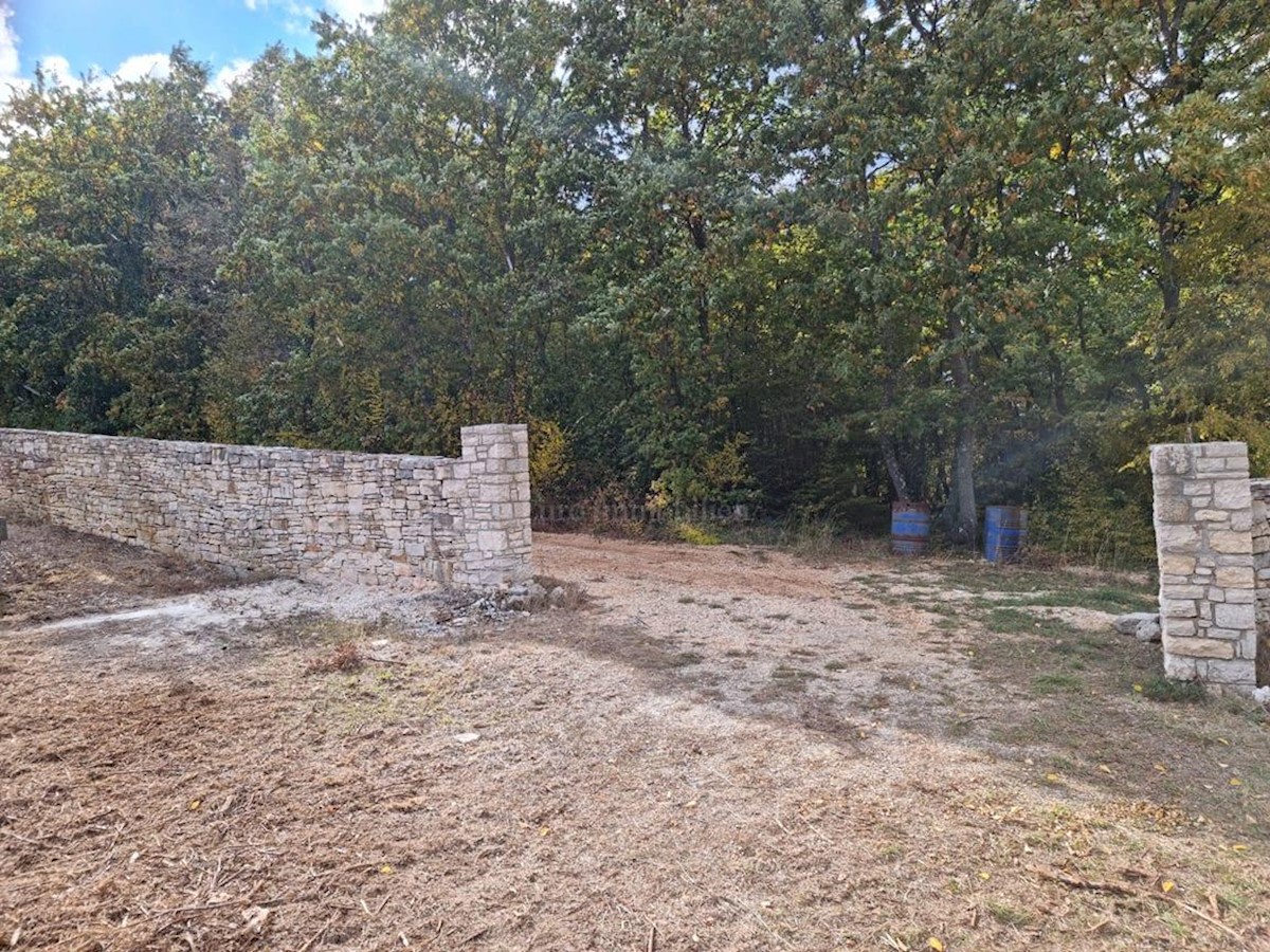 Istra, Rovinj surroundings, 13.000 m2 of agricultural land with 125 olive trees