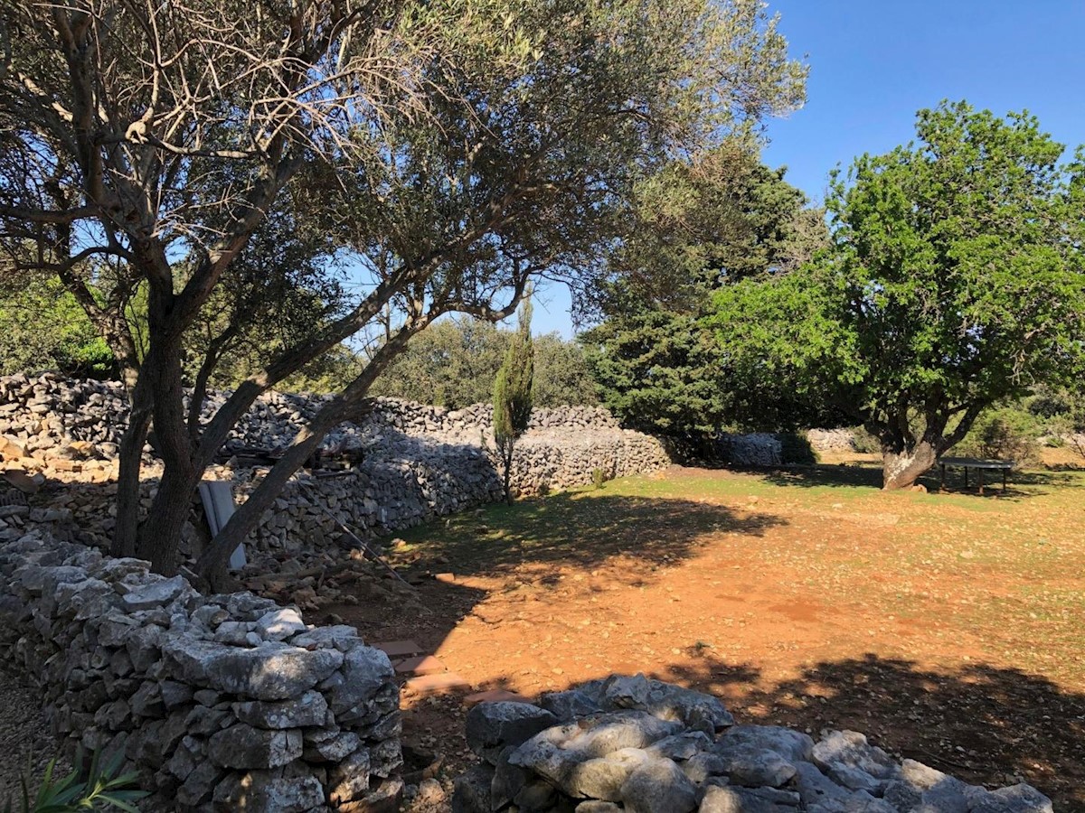 Punta Križa, island of Cres, land